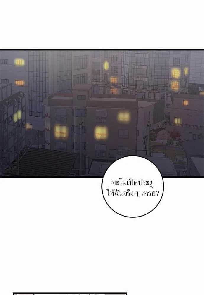 My One and Only Cat ตอนที่ 4232