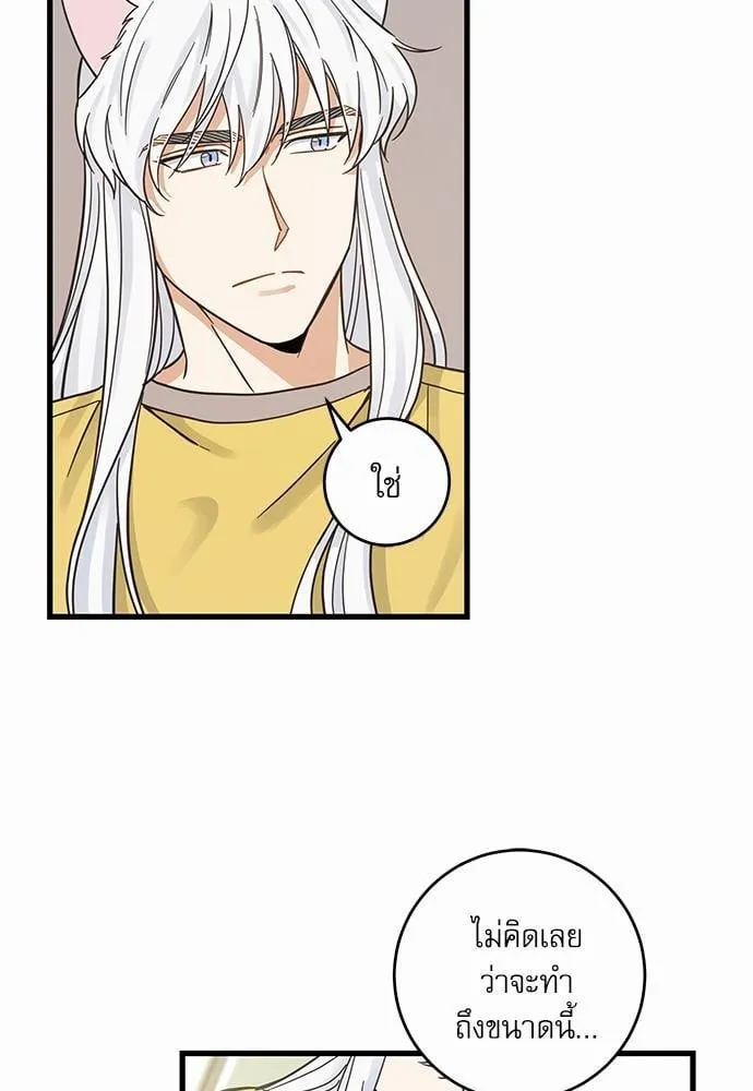 My One and Only Cat ตอนที่ 4233