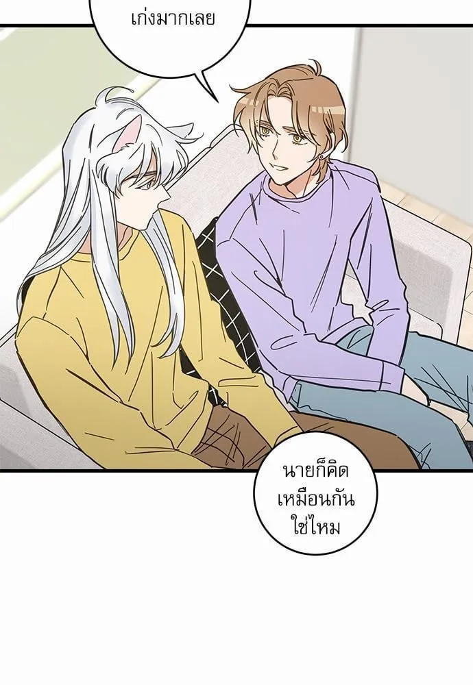 My One and Only Cat ตอนที่ 4237