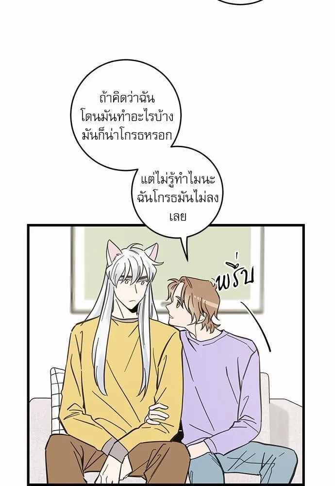 My One and Only Cat ตอนที่ 4239