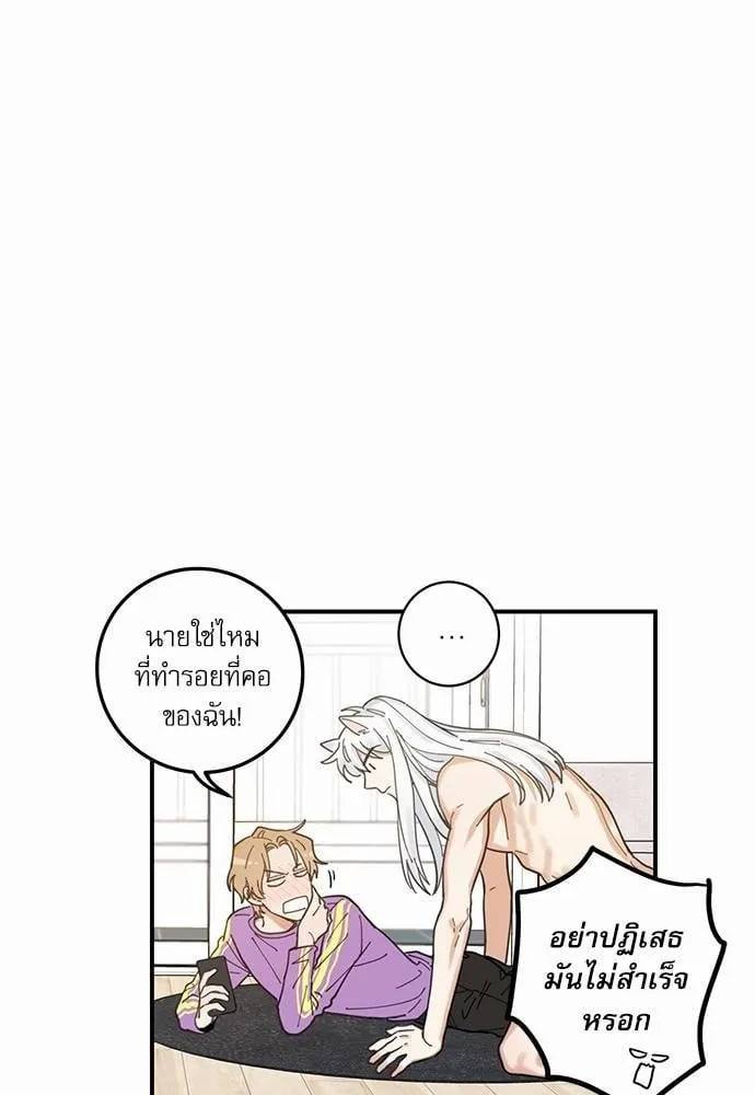 My One and Only Cat ตอนที่ 424 My One and Only Cat ตอนที่ 424