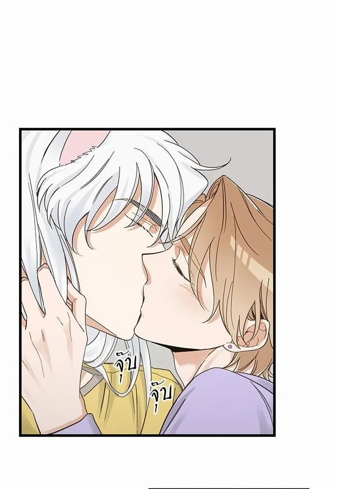 My One and Only Cat ตอนที่ 4249