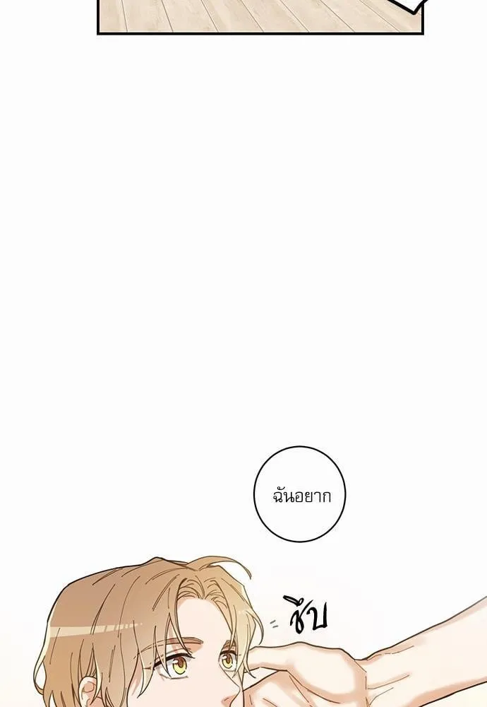 My One and Only Cat ตอนที่ 425 My One and Only Cat ตอนที่ 425