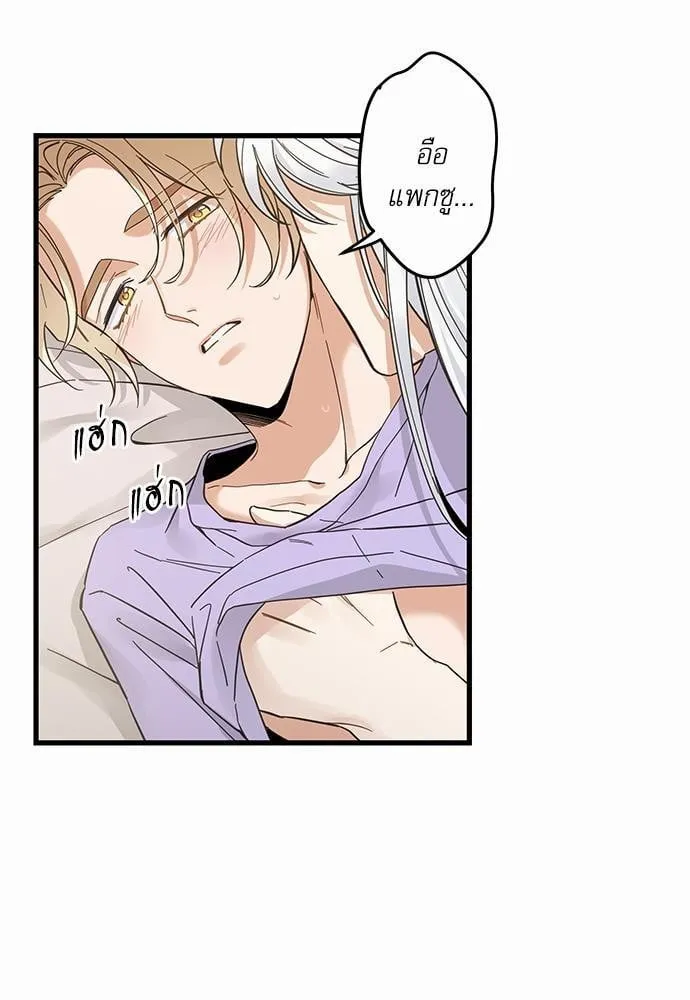 My One and Only Cat ตอนที่ 4253