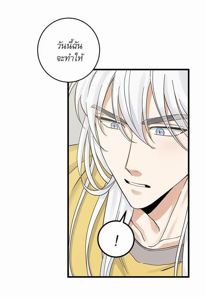 My One and Only Cat ตอนที่ 4254