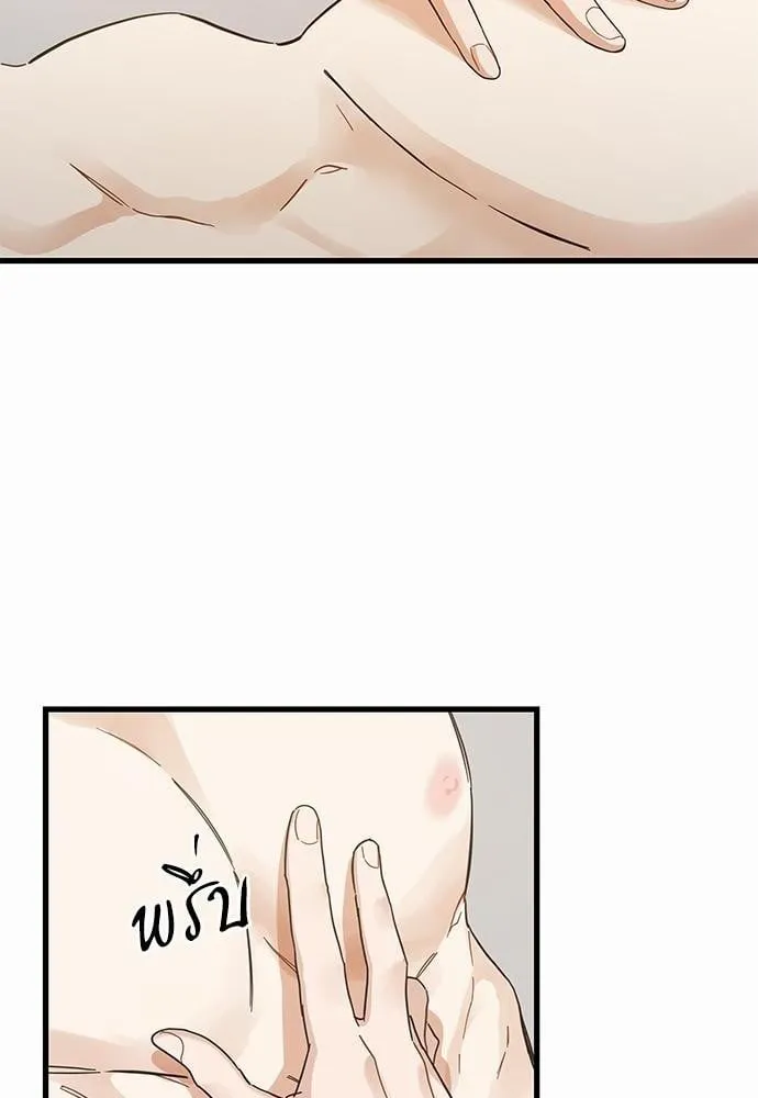 My One and Only Cat ตอนที่ 4258