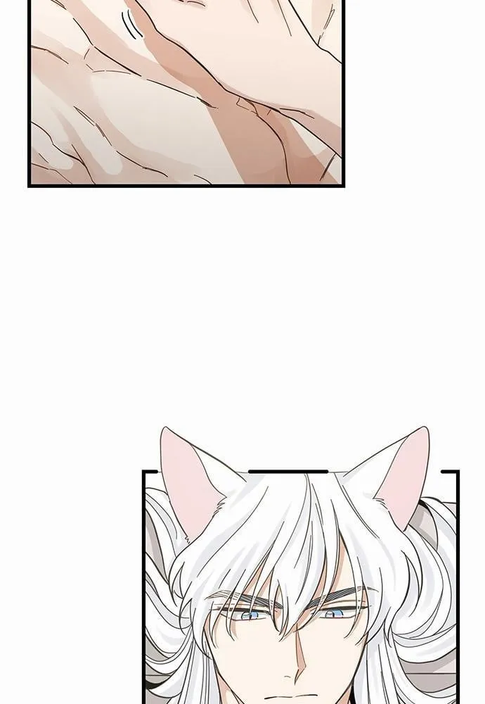 My One and Only Cat ตอนที่ 4259