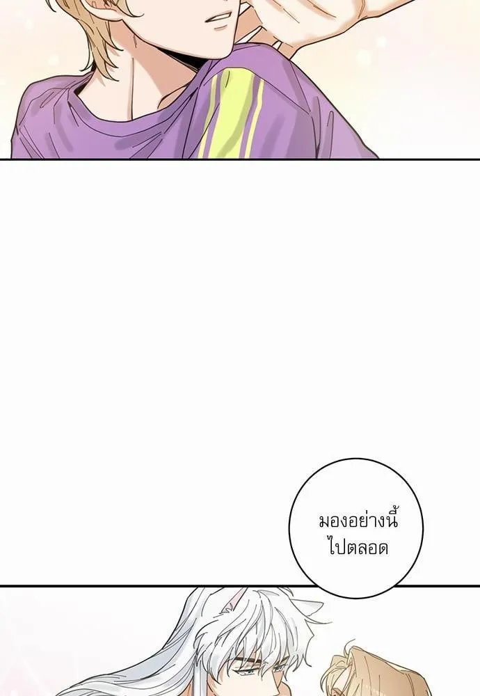 My One and Only Cat ตอนที่ 426 My One and Only Cat ตอนที่ 426