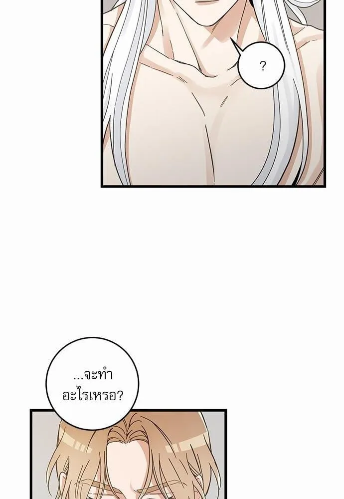 My One and Only Cat ตอนที่ 4260