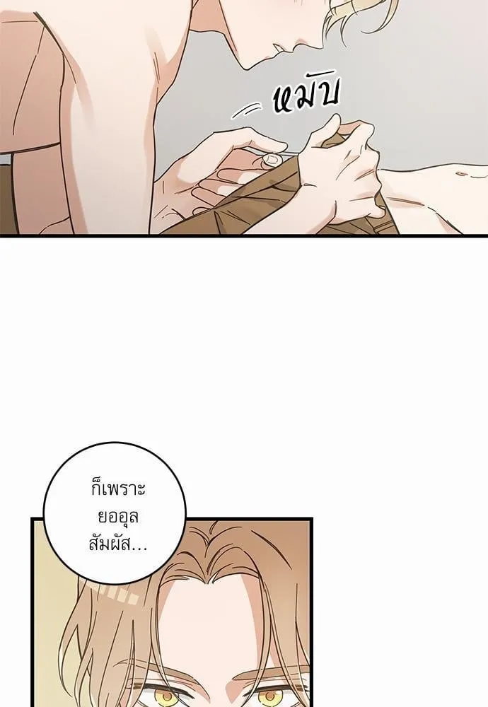 My One and Only Cat ตอนที่ 4263