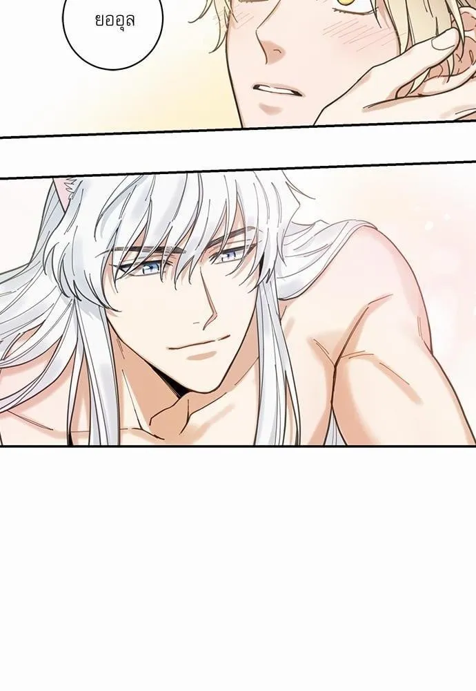 My One and Only Cat ตอนที่ 428 My One and Only Cat ตอนที่ 428