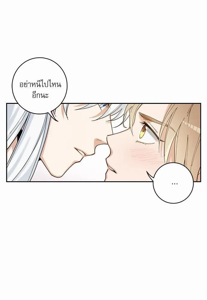 My One and Only Cat ตอนที่ 429 My One and Only Cat ตอนที่ 429