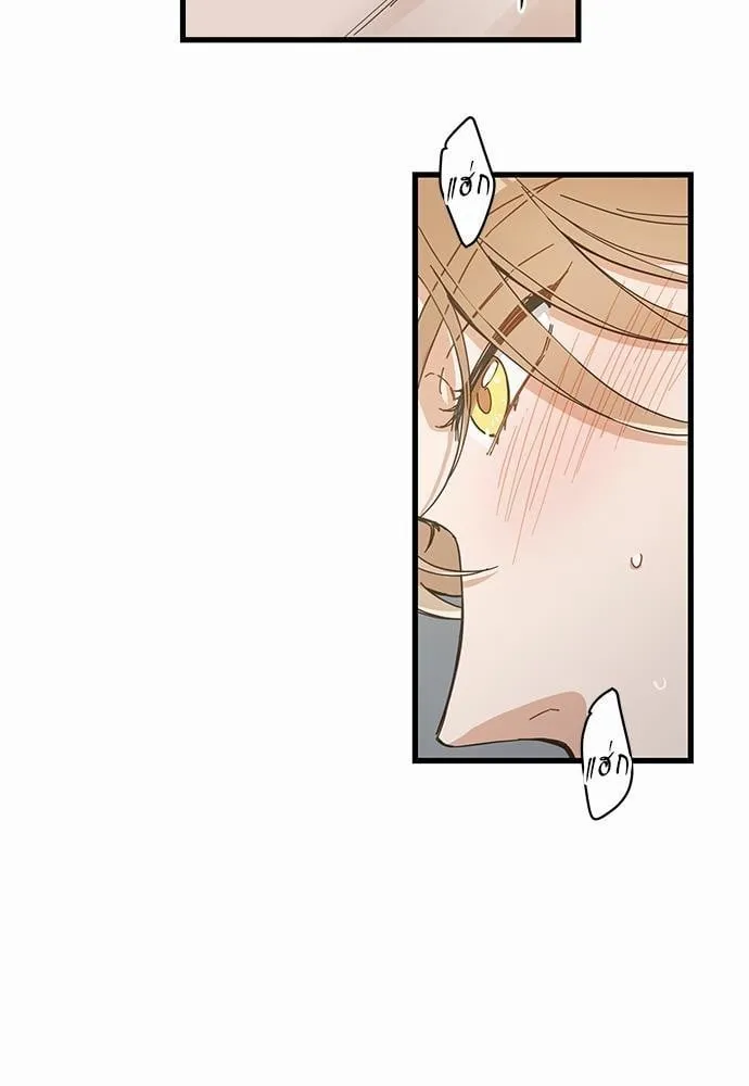 My One and Only Cat ตอนที่ 4303