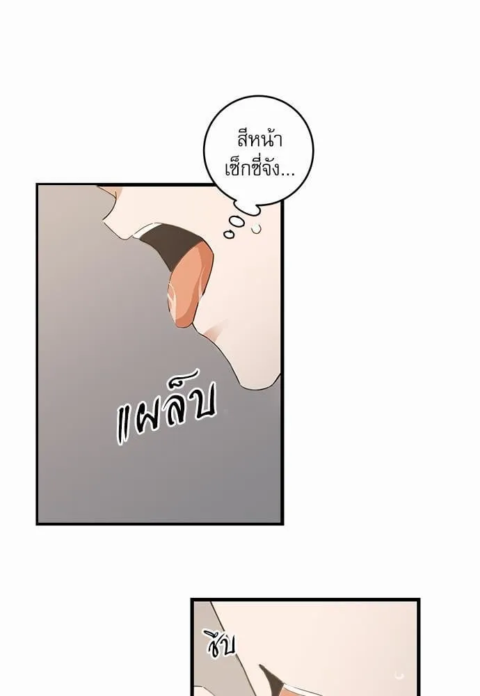 My One and Only Cat ตอนที่ 4305