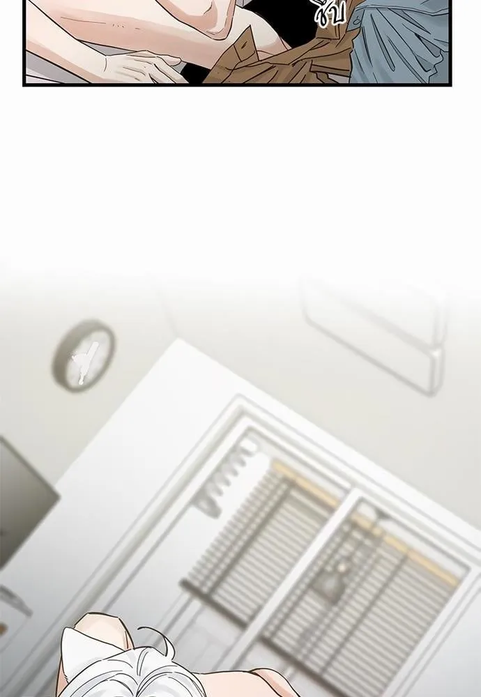 My One and Only Cat ตอนที่ 4308