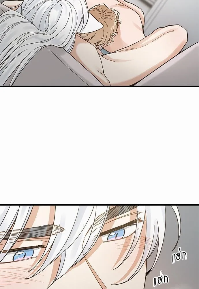 My One and Only Cat ตอนที่ 4309