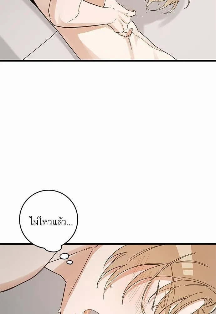 My One and Only Cat ตอนที่ 4313