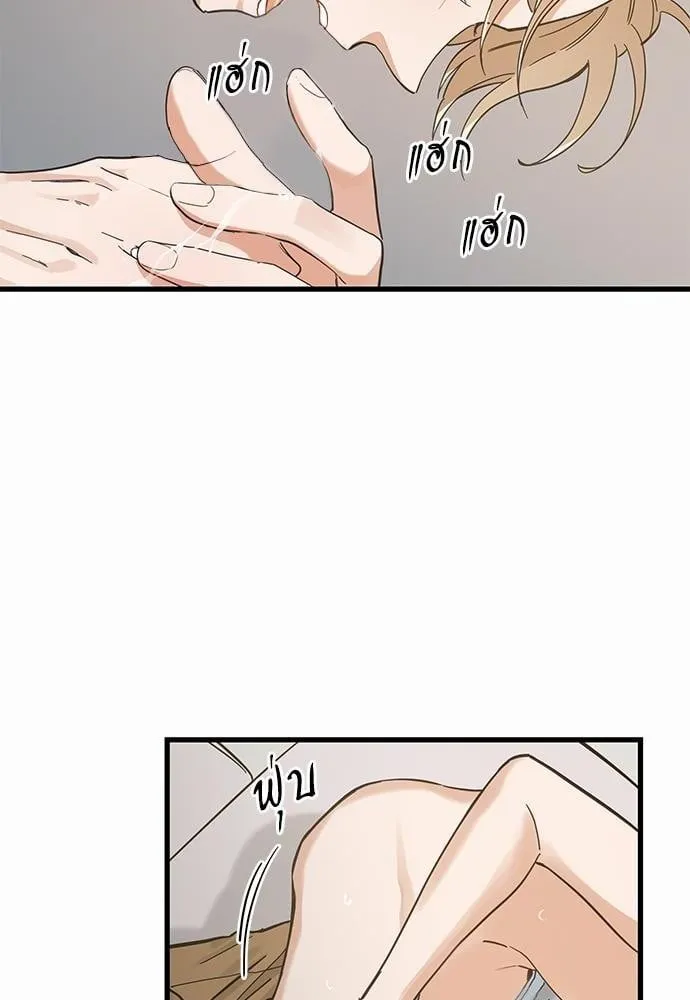 My One and Only Cat ตอนที่ 4314