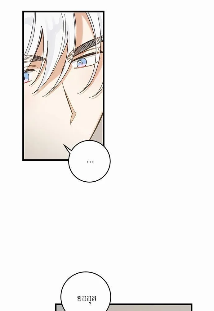 My One and Only Cat ตอนที่ 4317