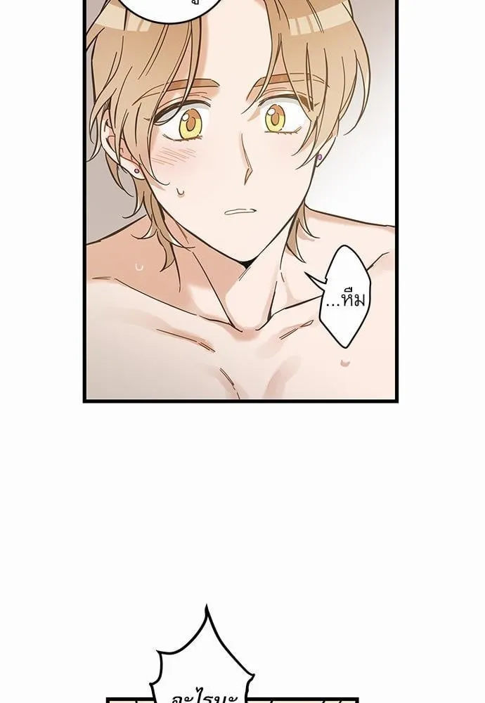 My One and Only Cat ตอนที่ 4319