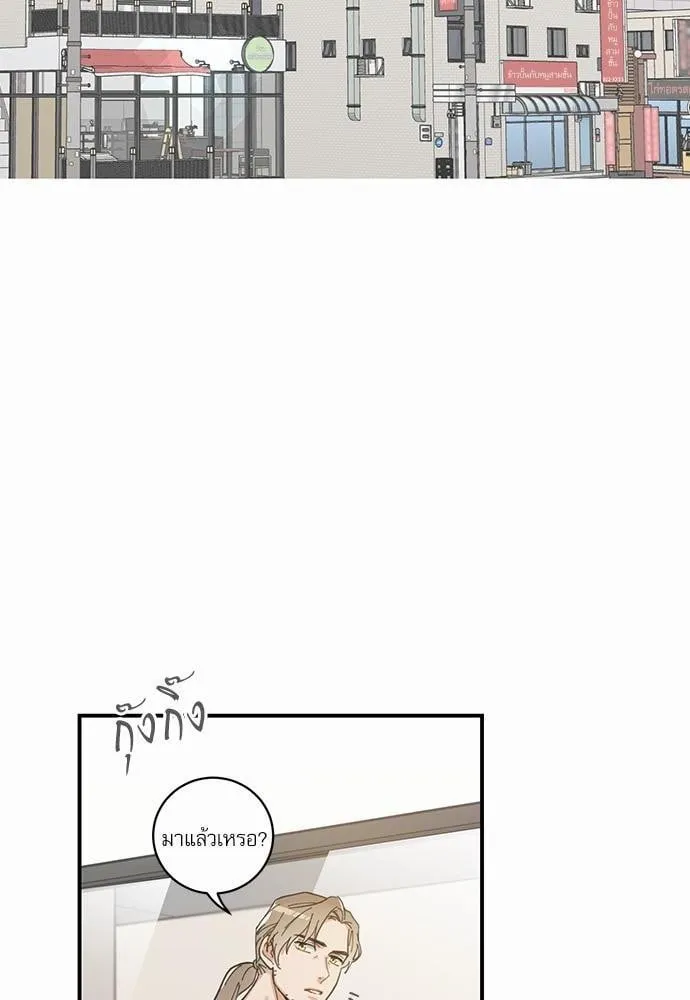 My One and Only Cat ตอนที่ 432 My One and Only Cat ตอนที่ 432