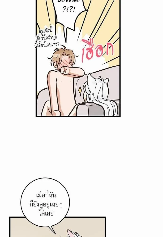 My One and Only Cat ตอนที่ 4320