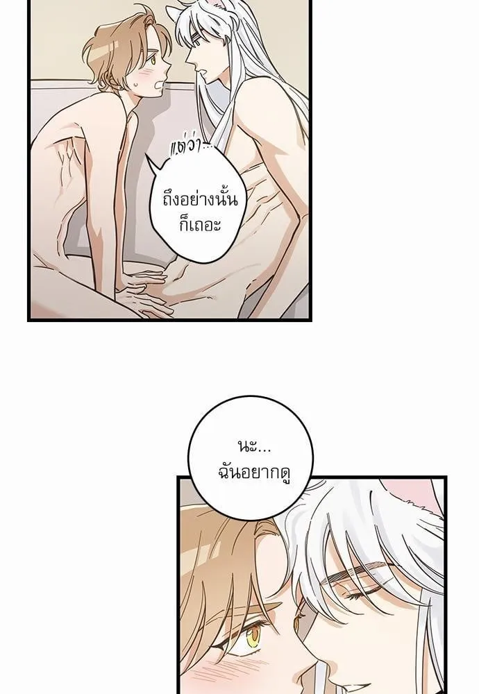 My One and Only Cat ตอนที่ 4321