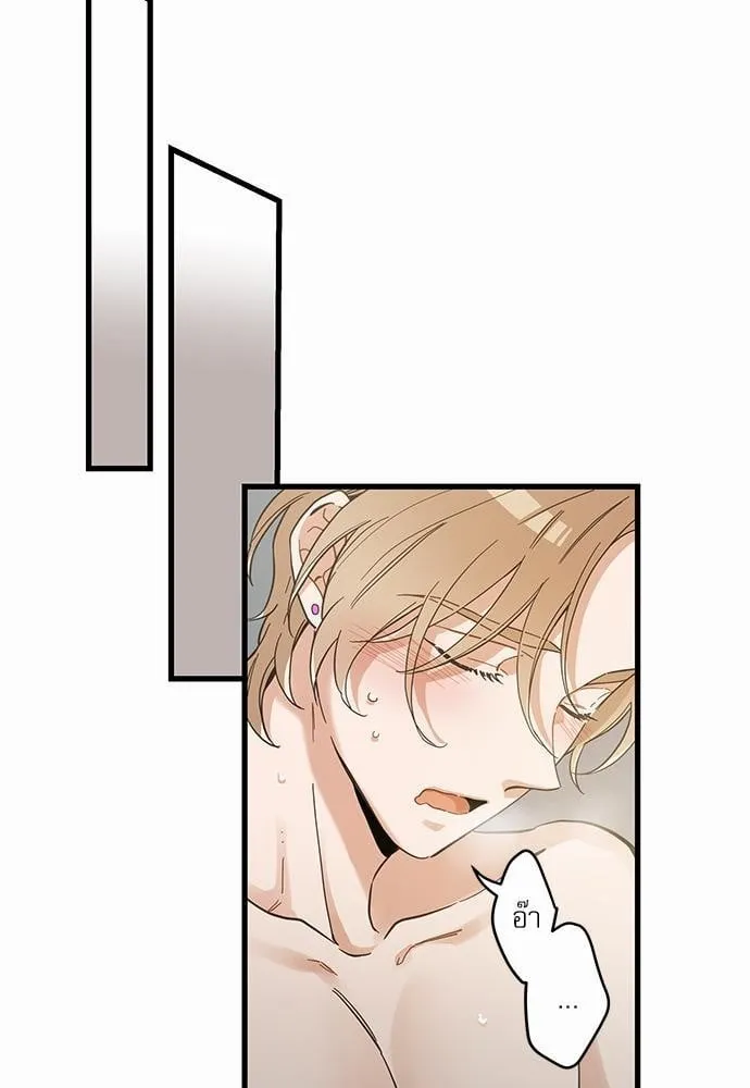 My One and Only Cat ตอนที่ 4323