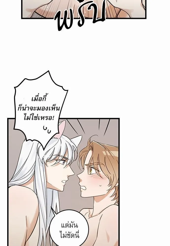 My One and Only Cat ตอนที่ 4329