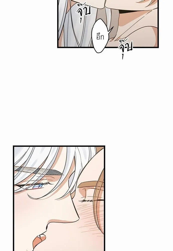 My One and Only Cat ตอนที่ 4331