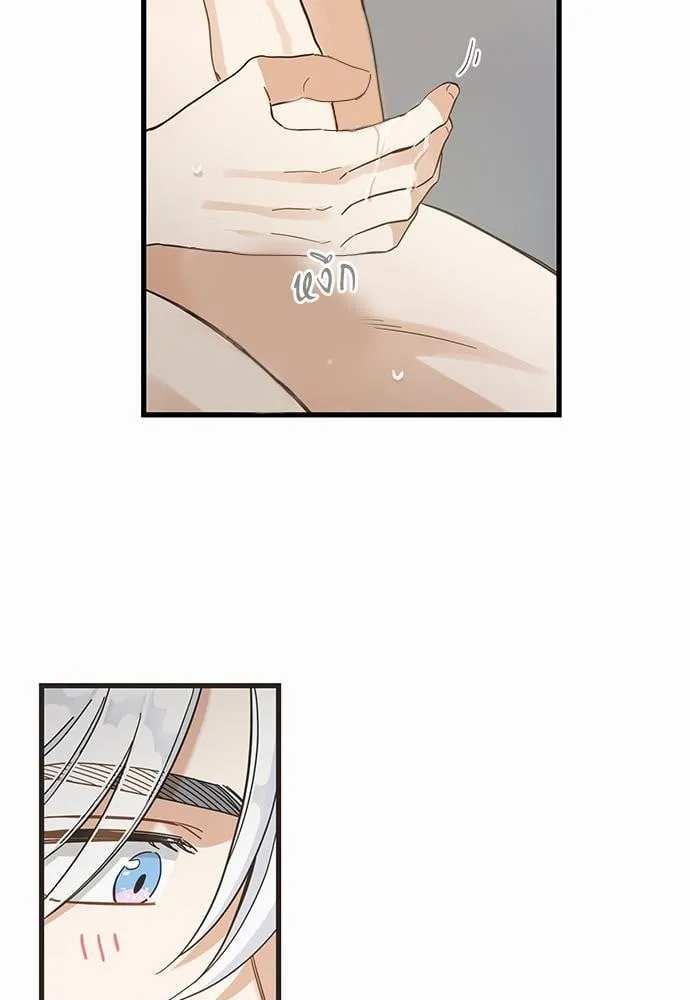 My One and Only Cat ตอนที่ 4333