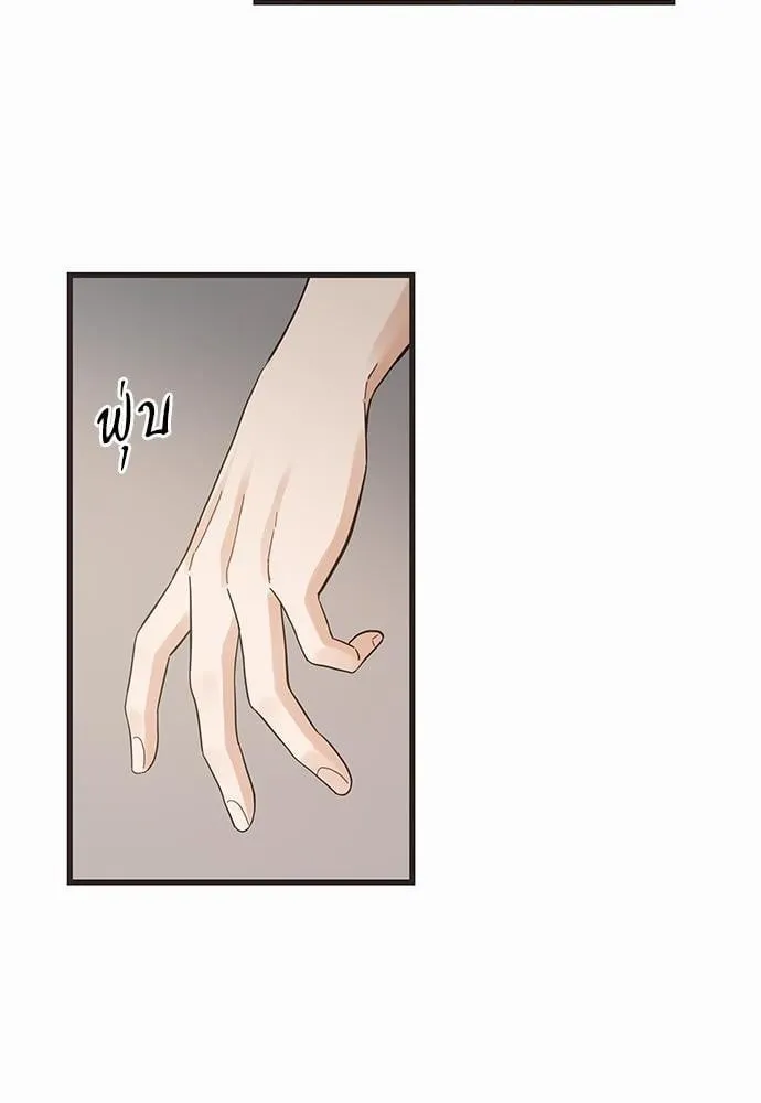 My One and Only Cat ตอนที่ 4336