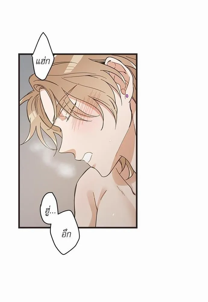 My One and Only Cat ตอนที่ 4340