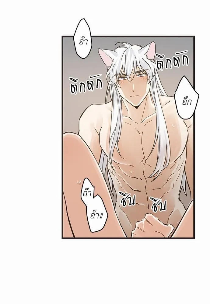 My One and Only Cat ตอนที่ 4341