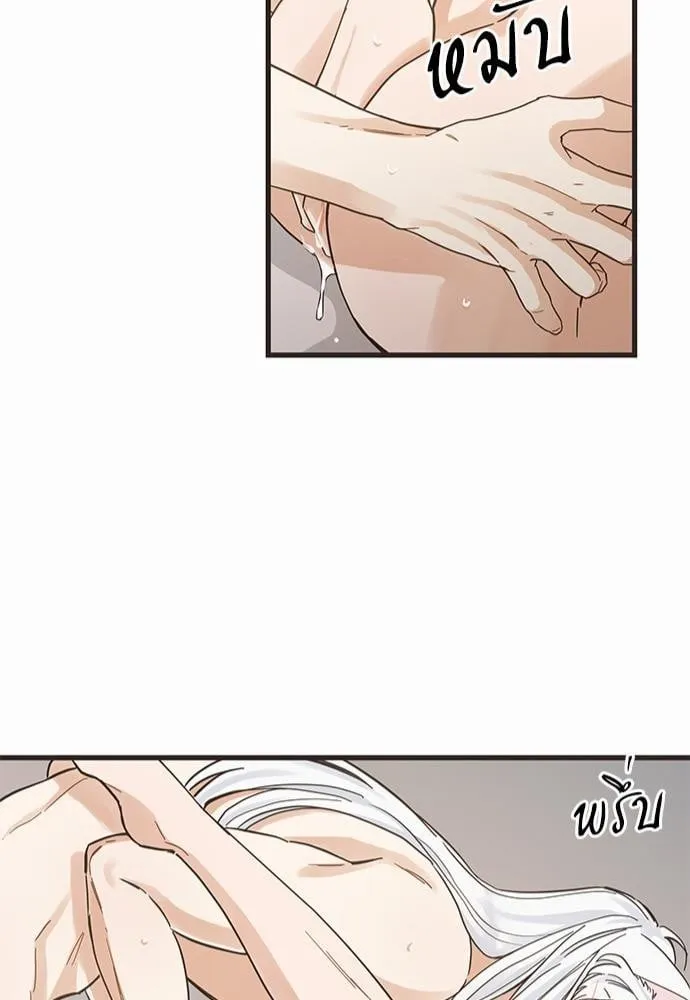 My One and Only Cat ตอนที่ 4343