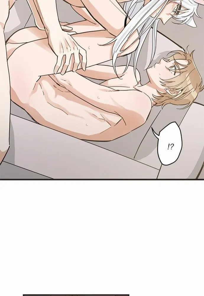 My One and Only Cat ตอนที่ 4344