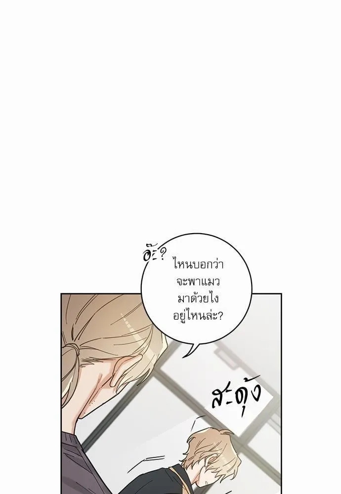 My One and Only Cat ตอนที่ 435 My One and Only Cat ตอนที่ 435