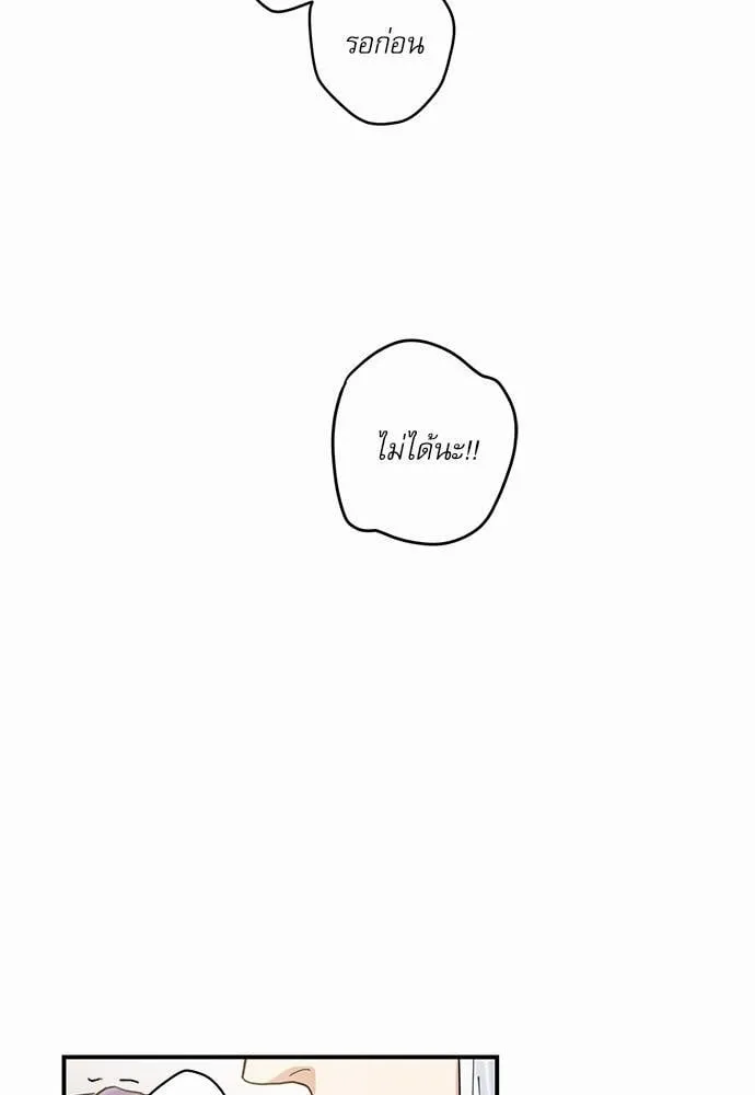 My One and Only Cat ตอนที่ 439 My One and Only Cat ตอนที่ 439