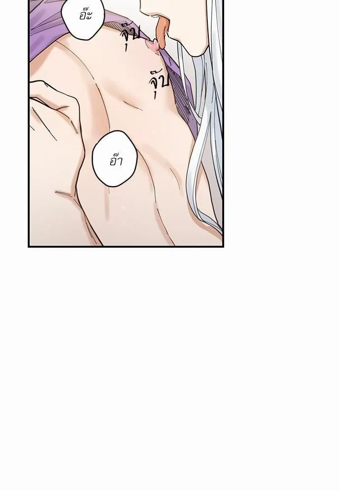 My One and Only Cat ตอนที่ 440 My One and Only Cat ตอนที่ 440