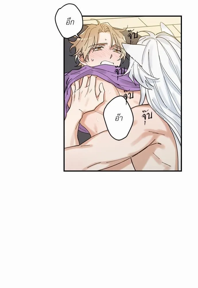 My One and Only Cat ตอนที่ 441 My One and Only Cat ตอนที่ 441