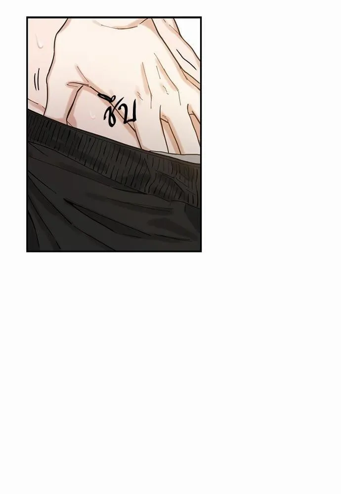 My One and Only Cat ตอนที่ 442 My One and Only Cat ตอนที่ 442