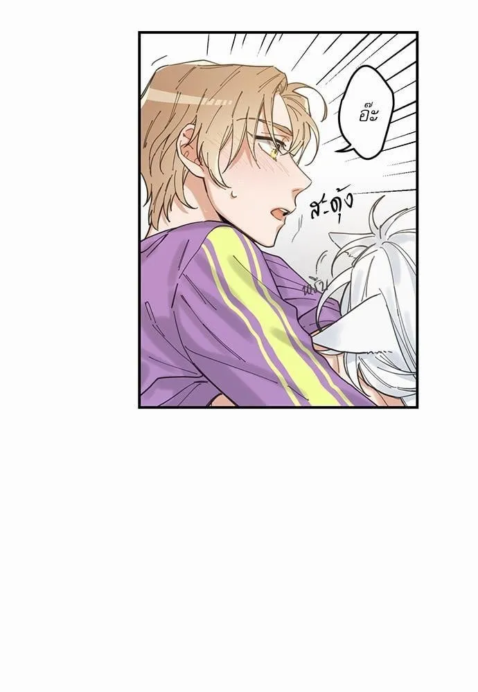 My One and Only Cat ตอนที่ 443 My One and Only Cat ตอนที่ 443