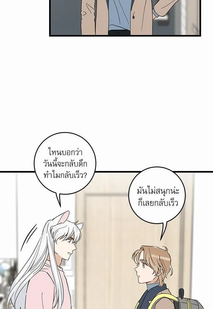 My One and Only Cat ตอนที่ 4434