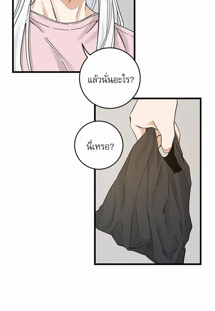 My One and Only Cat ตอนที่ 4436