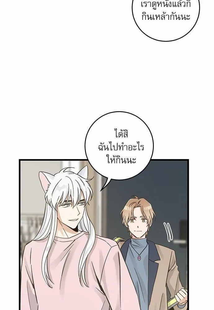 My One and Only Cat ตอนที่ 4438