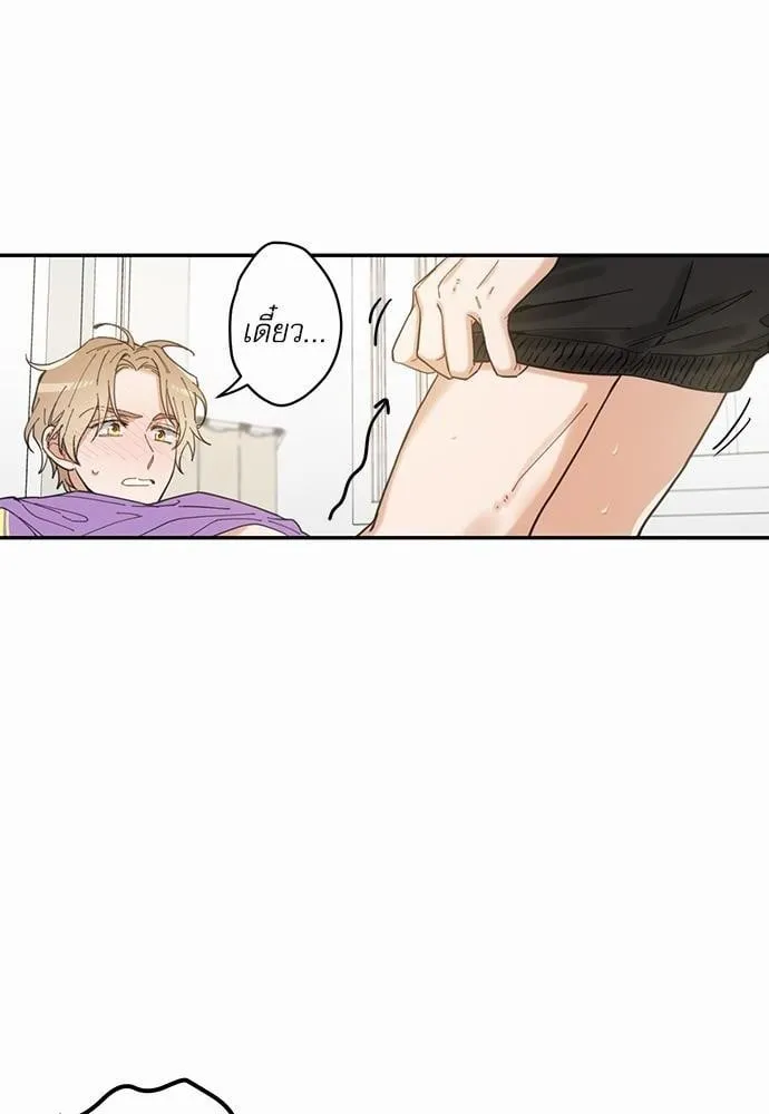 My One and Only Cat ตอนที่ 444 My One and Only Cat ตอนที่ 444