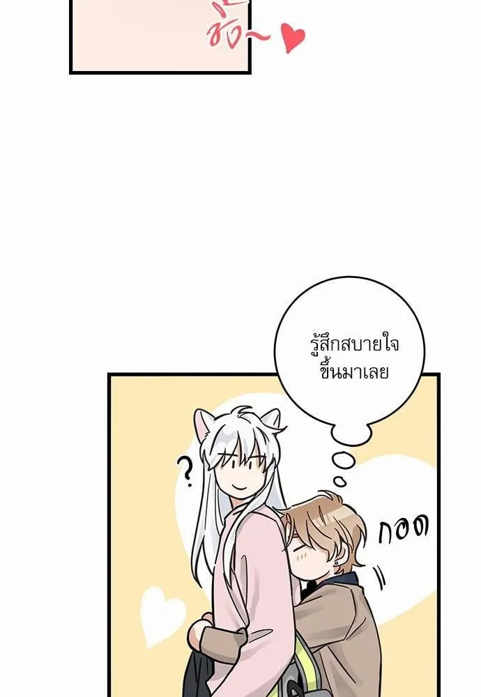 My One and Only Cat ตอนที่ 4440