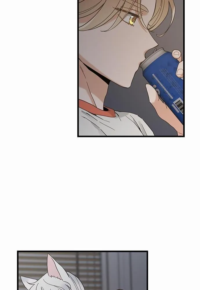 My One and Only Cat ตอนที่ 4444