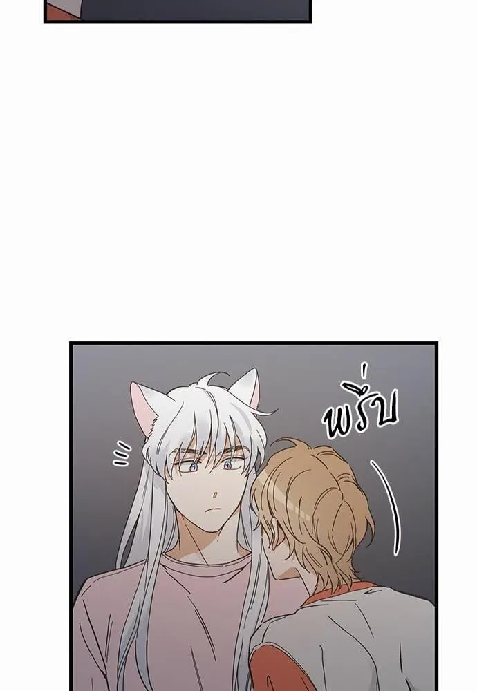 My One and Only Cat ตอนที่ 4450