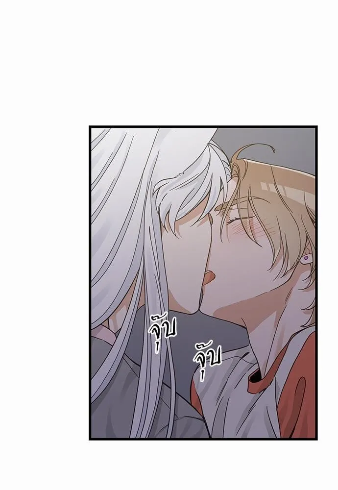 My One and Only Cat ตอนที่ 4453